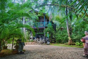 Passion Ray Villa & Tree Hut